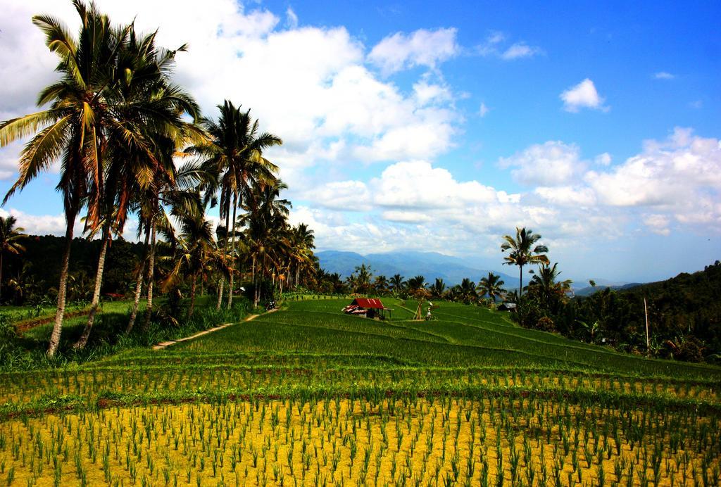 Puri Alam Bali Hotel Munduk  Ngoại thất bức ảnh