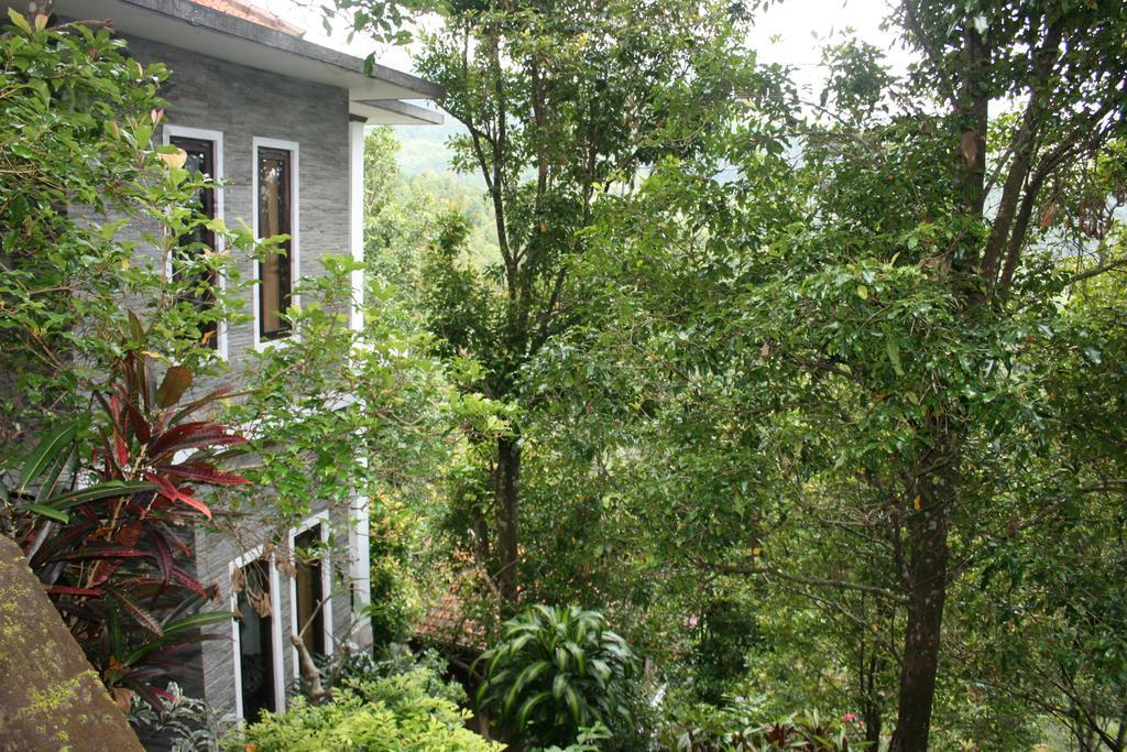 Puri Alam Bali Hotel Munduk  Ngoại thất bức ảnh